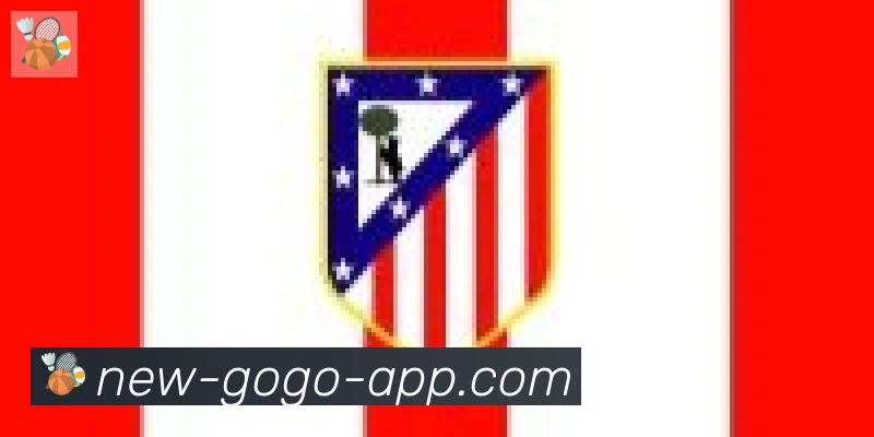 GOGO体育官网合作伙伴